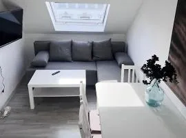 Comfy Apartment in Krefeld