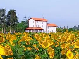 La collinetta B&B