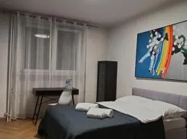 Nowogrodzka Central Apartment