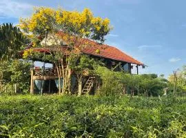 Tea Garden House