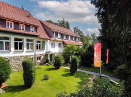 Pension zum Hexenstieg, family hotel in Schierke