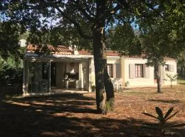 LA HULOTTE, VILLA ENTRE MER ET FORET -- draps et serviettes non fournis --