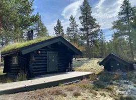 Atndalsvegen 1295 - panoramautsikt til Rondane、Stodsbuøyiのコテージ