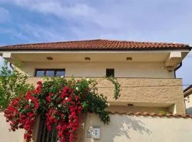 Casa verde 2