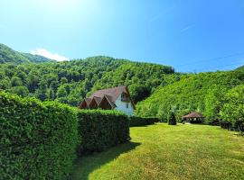 Pensiunea Poarta Raiului, guest house in Cugir