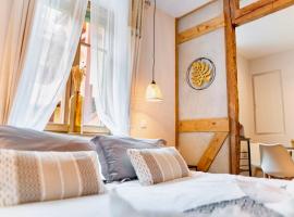 Au Petit Lion, Colmar centre Garage gratuit