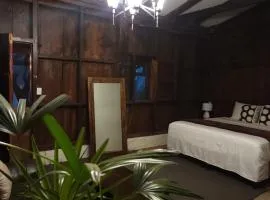 Bosko cerro verde