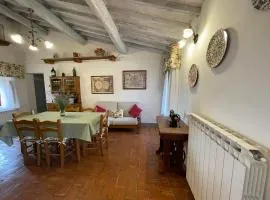 PAPAVERO ROSSO