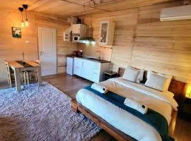 Chalet avec bain nordique