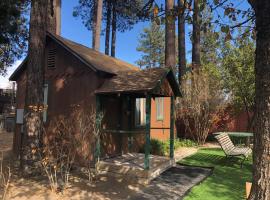 Creek Runner's Lodge: Big Bear Lake şehrinde bir orman evi