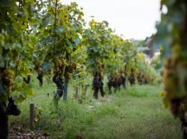 Gîte au milieu des vignes, hébergement à Prignac-et-Marcamps