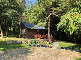 Willow Lodge, cabin in Dublin