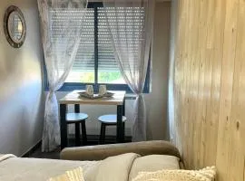 Appart Hotel cozy proche centre, parking