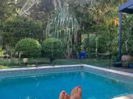 Absolute Beach Front Home -Dogs, Surf, Relax, Bush