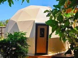Domaine de l'Anse dome avec spa privé
