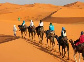 Camp Standard Merzouga