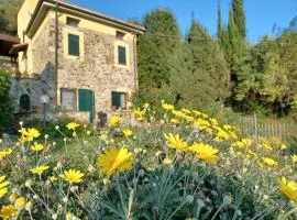 Il Fontolo