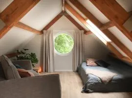 Het Rooversnest
