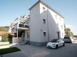 Neusaniertes 3Familienhaus am Bahnhof Wyhlen 7Min von Basel CH