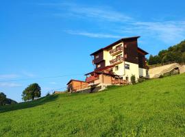 Pensiunea Daria, B&B/chambre d'hôtes à Fundata