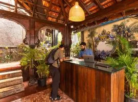 Madpackers Goa Anjuna - Bar