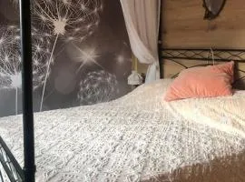 Holiday Guesthouse La Casina di Butzi pet friendly - Terme di Arta - Zoncolan