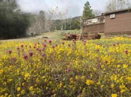 워포드 하이츠에 위치한 주차 가능한 호텔 Shirley Creek Retreat: a Mountain Oasis