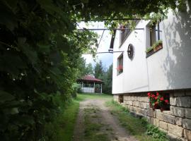 Guesthouse Prachovské skály, cheap hotel in Blata