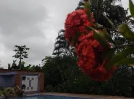 Chacara vida nova em Pedro de toledo