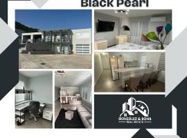Black Pearl, Ferienwohnung in Guayama