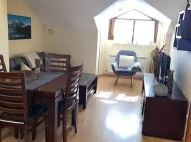 El nido de Villanua