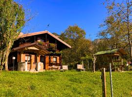Chalet Relax Tra Le Vigne، شاليه في Forni di Sotto