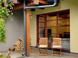 Horský apartmán Říčky