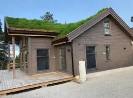 Familiehytte på Gautefall nær alpint og bading