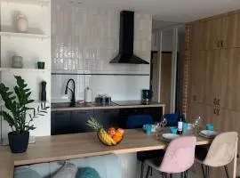 Stylowy Apartament przy Manufakturze w samym centrum Łodzi