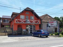 Casa Agnes Vendeghaz, hostal o pensión en Fîntînele