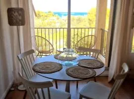 Charmant T2 au calme avec vue mer, proche centre de Collioure et parking