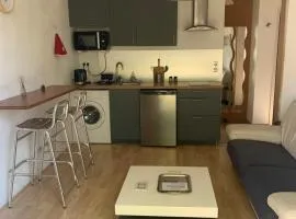 Beau T2 meublé récent