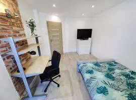 Crystal Apartment Katowice II