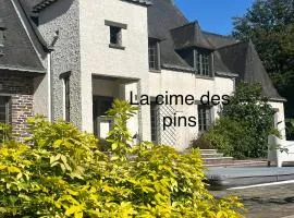 chambres d'hôtes, La cime des pins