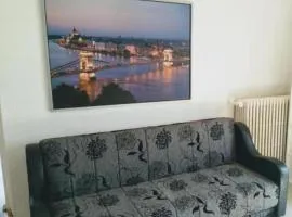 Belgrade River view 1