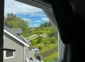 Loftroom in townhouse Oslo 1 singel bed 1 double bed