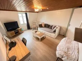 Soft Dream- Hyper Centre Dunkerque et Proche Plage 15m