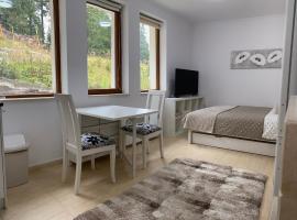 Ski in Ski out, Grand Monastery, Pamporovo