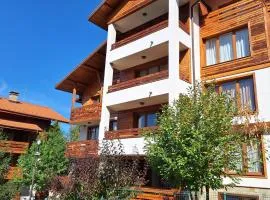 Cozy studio with balcony and incl SPA in 4-star hotel Saint Ivan Rilski , Bansko