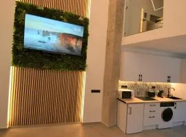 BIBLIOTECA DE LUJO EN EL CENTRO HISTORICO DE MÁLAGa