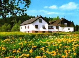 Gasthaus-Pension Zum Brandweiher, hotell i Amorbach