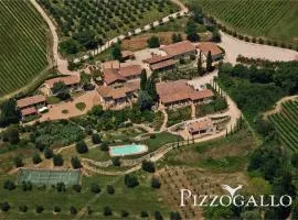 Tenuta Pizzogallo