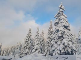 Apartmani Haski Konaci, hotel a Kopaonik