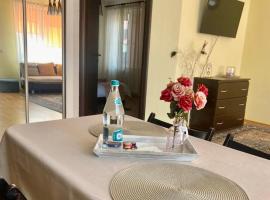 Apartament Terra II，位于弗洛雷什蒂的酒店